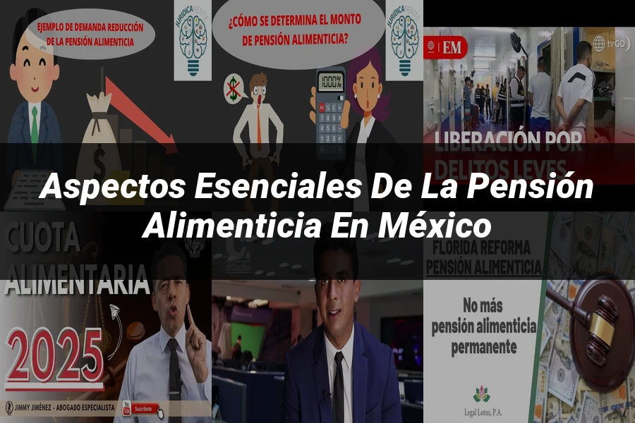 "Aspectos esenciales de la pensión alimenticia en México"