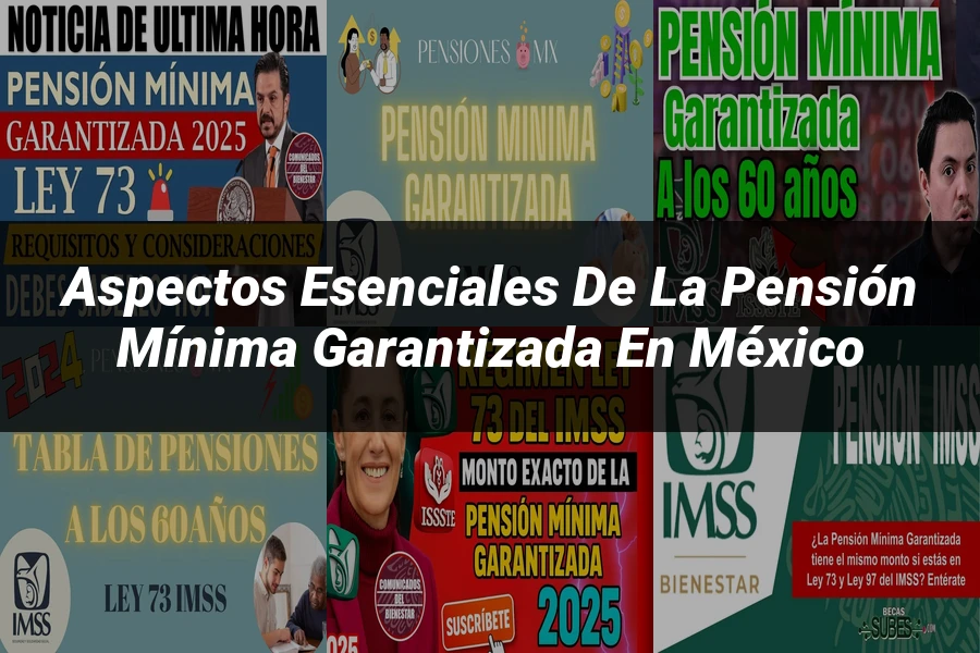 "Aspectos esenciales de la pensión mínima garantizada en México"