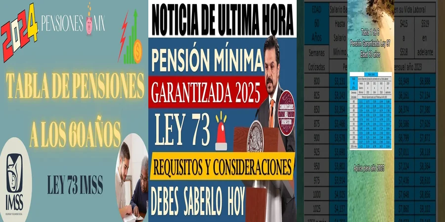 "Aspectos esenciales de la pensión mínima garantizada en México"