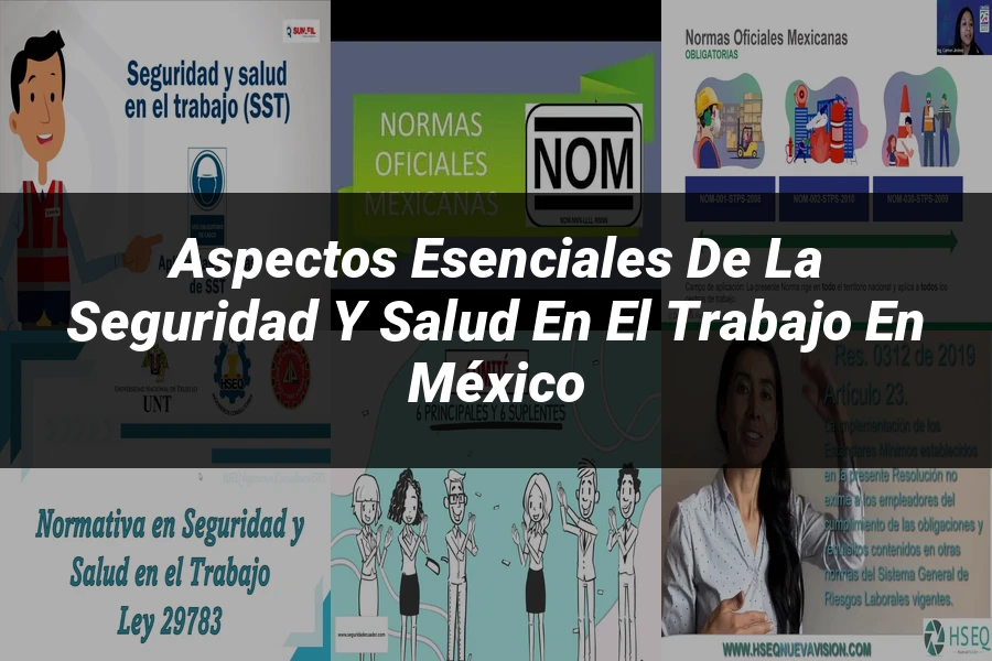 "Aspectos esenciales de la seguridad y salud en el trabajo en México"