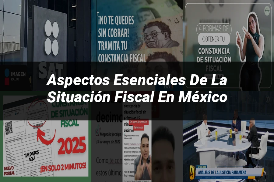 "Aspectos esenciales de la situación fiscal en México"