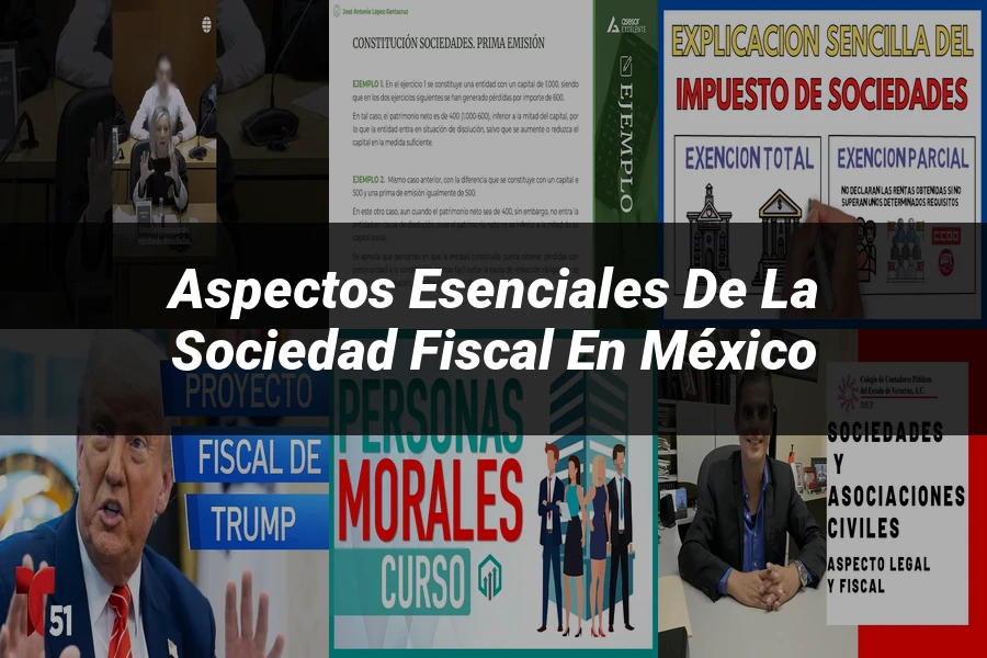 "Aspectos esenciales de la sociedad fiscal en México"