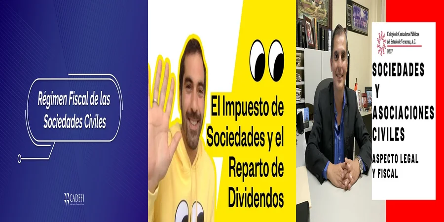 "Aspectos esenciales de la sociedad fiscal en México"