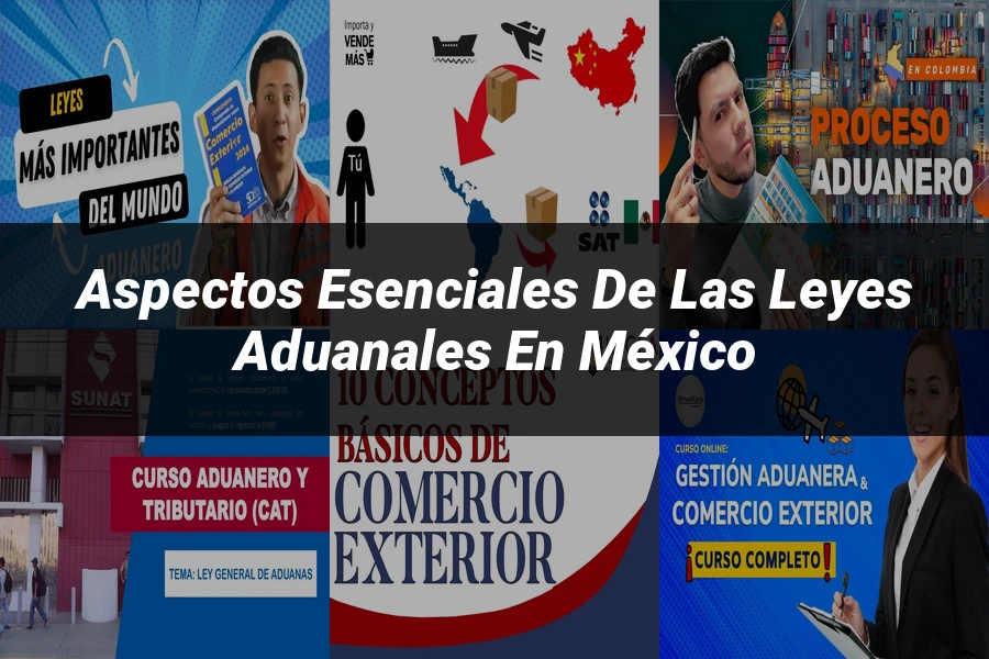 "Aspectos esenciales de las leyes aduanales en México"