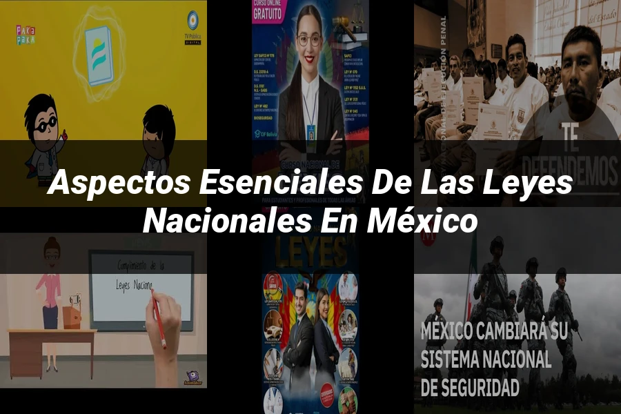 "Aspectos esenciales de las leyes nacionales en México"