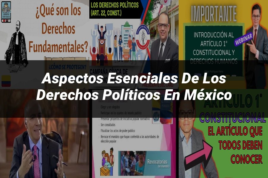 "Aspectos esenciales de los derechos políticos en México"