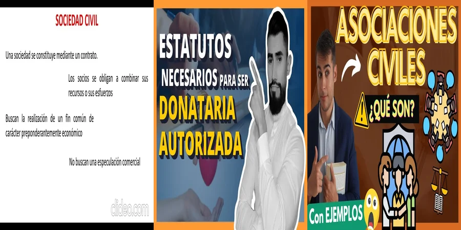 "Aspectos esenciales de los estatutos de sociedades civiles en México"