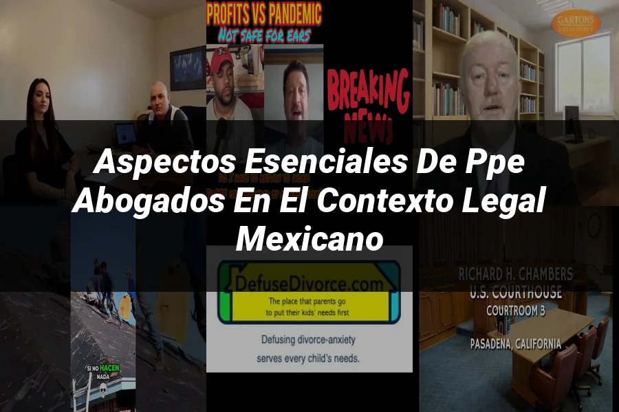 "Aspectos esenciales de ppe abogados en el contexto legal mexicano"