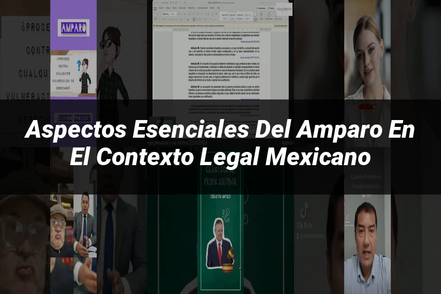 "Aspectos esenciales del amparo en el contexto legal mexicano"