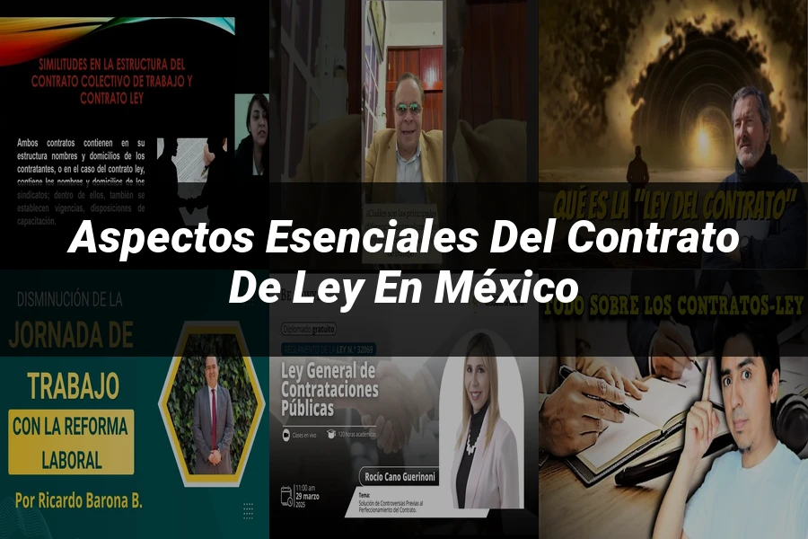 "Aspectos esenciales del contrato de ley en México"