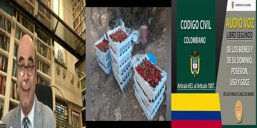 "Aspectos esenciales del código civil sobre bienes inmuebles en México"