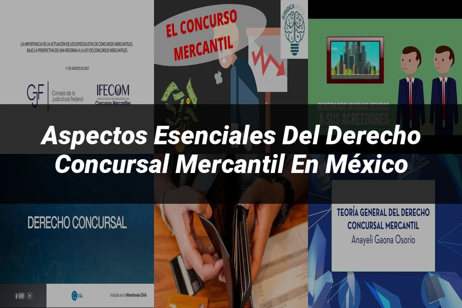 "Aspectos esenciales del derecho concursal mercantil en México"