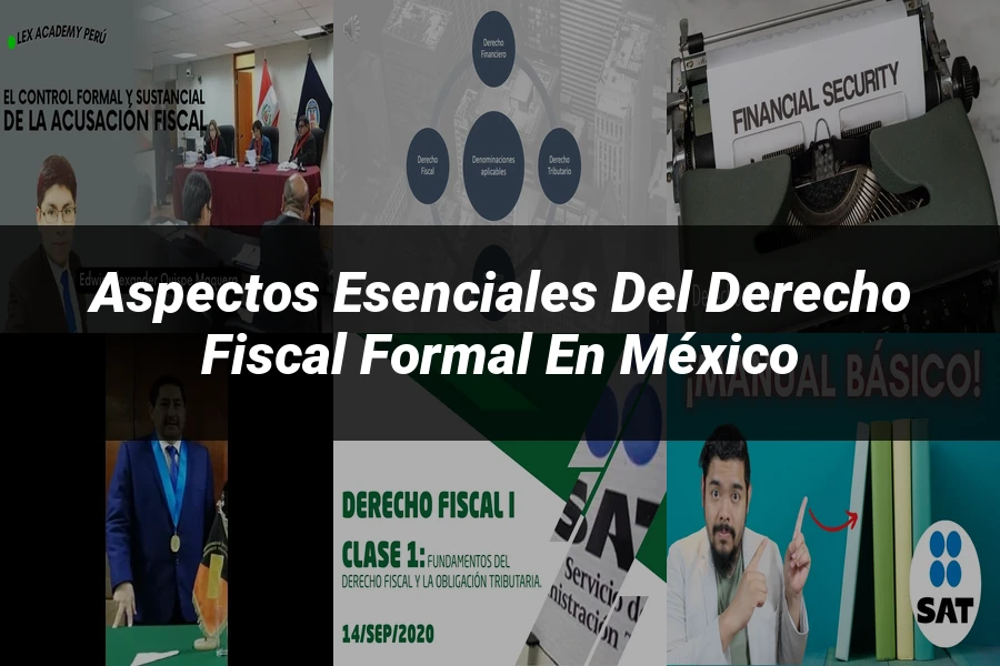 "Aspectos esenciales del derecho fiscal formal en México"