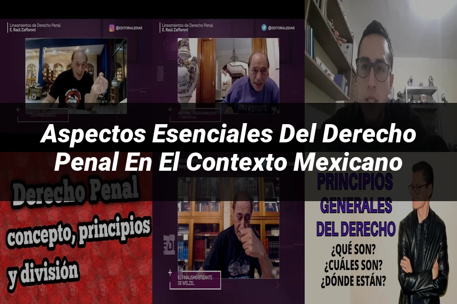 "Aspectos esenciales del derecho penal en el contexto mexicano"