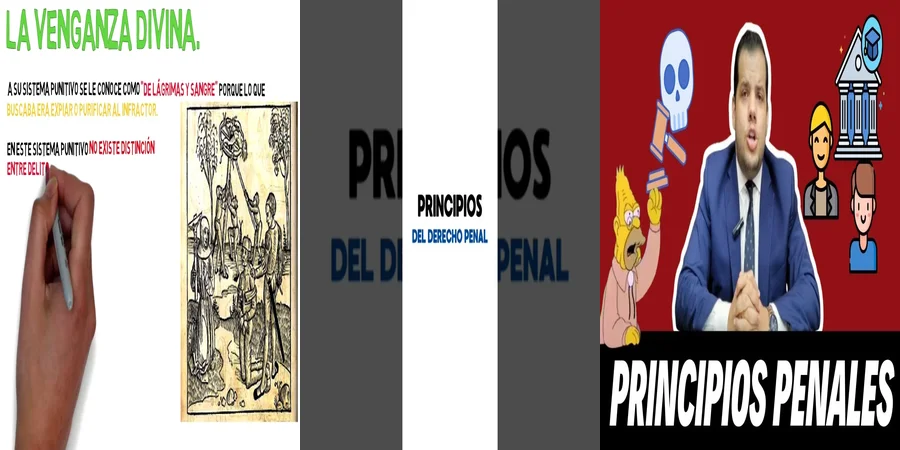 "Aspectos esenciales del derecho penal en el contexto mexicano"