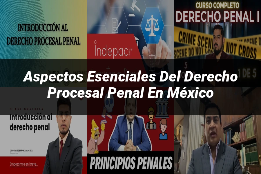 "Aspectos esenciales del derecho procesal penal en México"