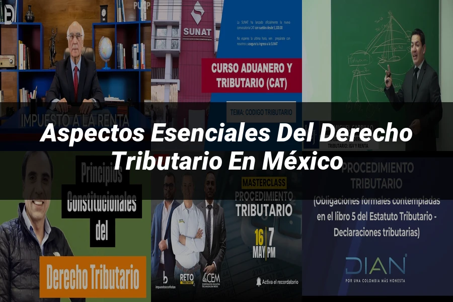 "Aspectos esenciales del derecho tributario en México"