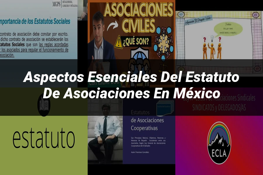 "Aspectos esenciales del estatuto de asociaciones en México"