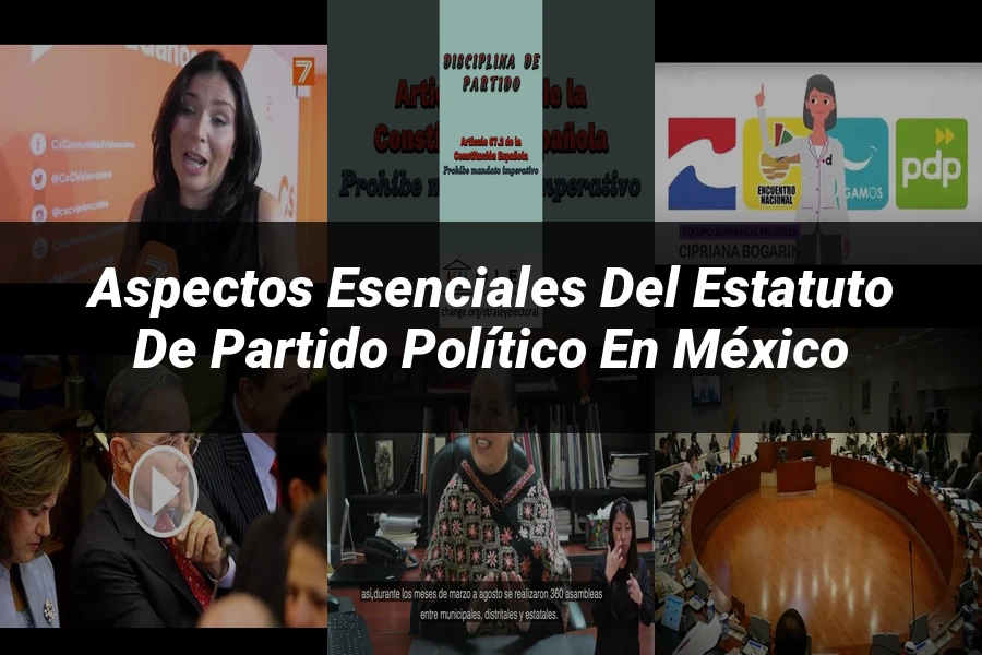 "Aspectos esenciales del estatuto de partido político en México"