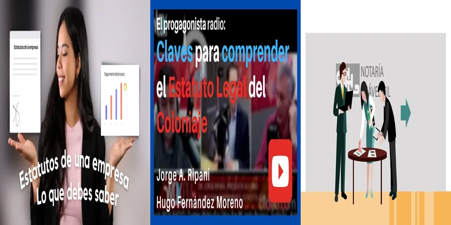 "Aspectos esenciales del estatuto legal en México para abogados"