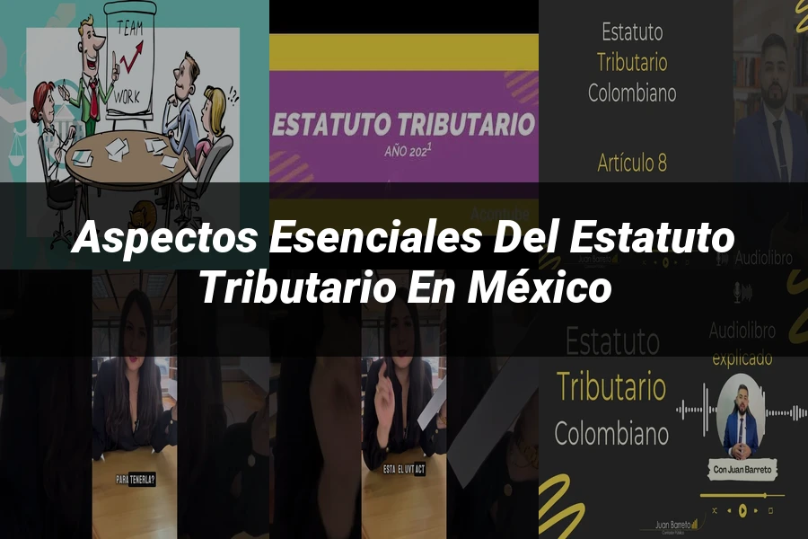 "Aspectos esenciales del estatuto tributario en México"