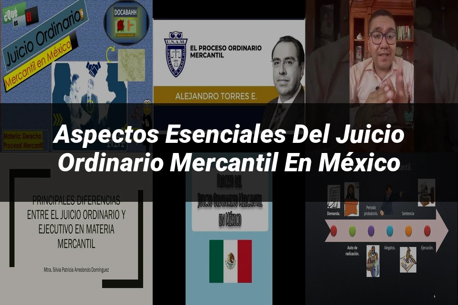 "Aspectos esenciales del juicio ordinario mercantil en México"
