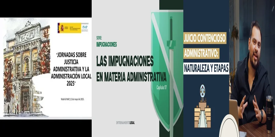 "Aspectos esenciales del justiciable en materia administrativa en México"