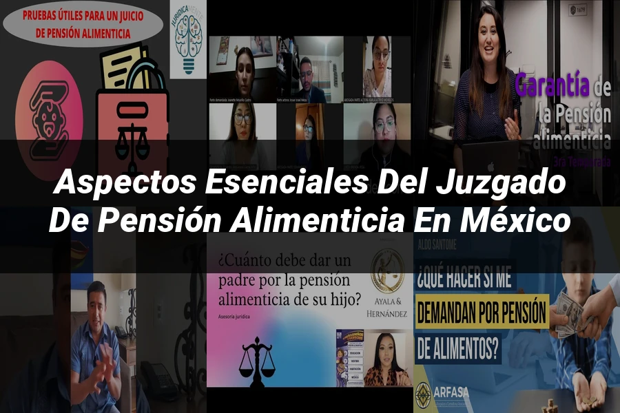 "Aspectos esenciales del juzgado de pensión alimenticia en México"