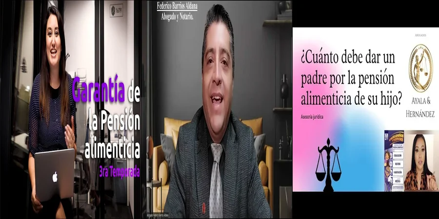 "Aspectos esenciales del juzgado de pensión alimenticia en México"