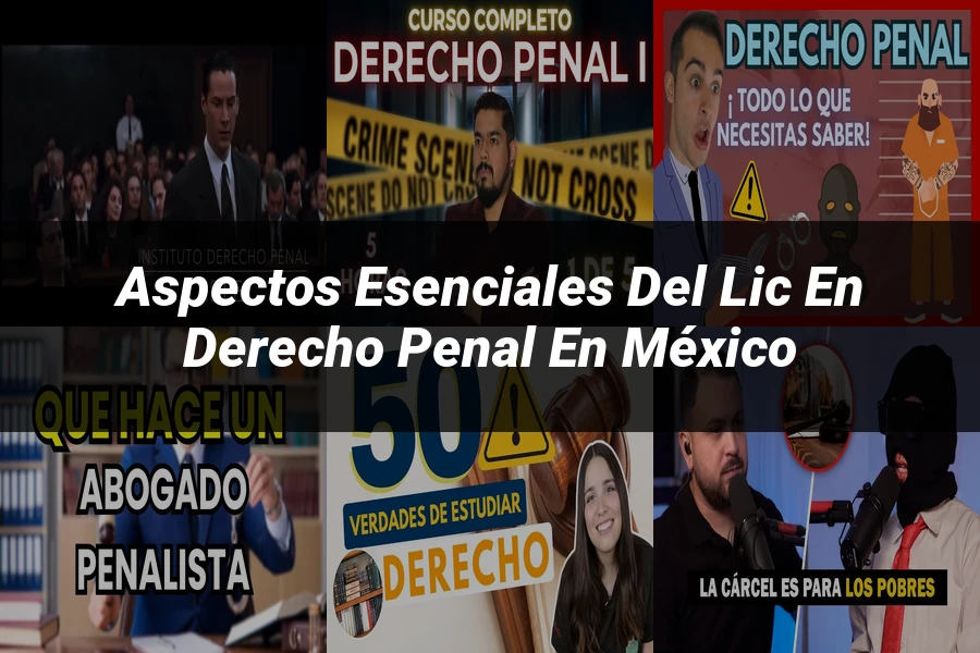 "Aspectos esenciales del lic en derecho penal en México"