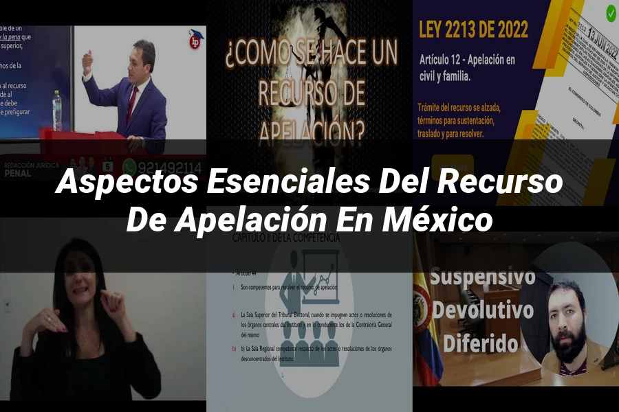 "Aspectos esenciales del recurso de apelación en México"