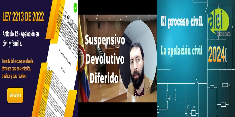 "Aspectos esenciales del recurso de apelación en México"