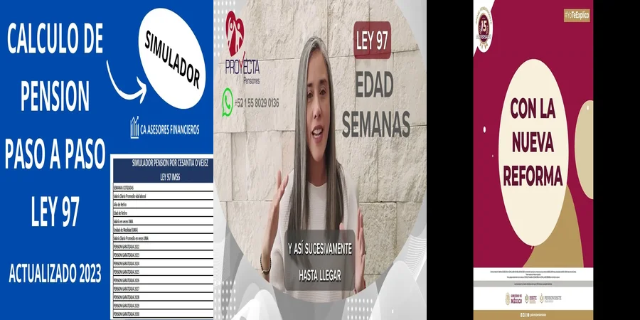 "Aspectos esenciales del reglamento de pensiones del IMSS en México"