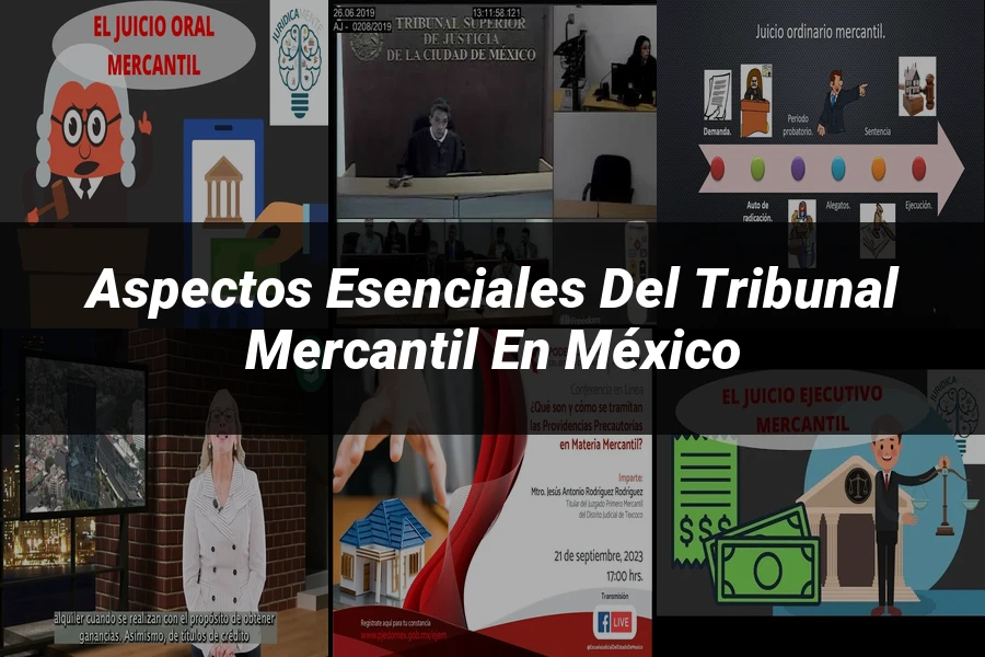 "Aspectos esenciales del tribunal mercantil en México"