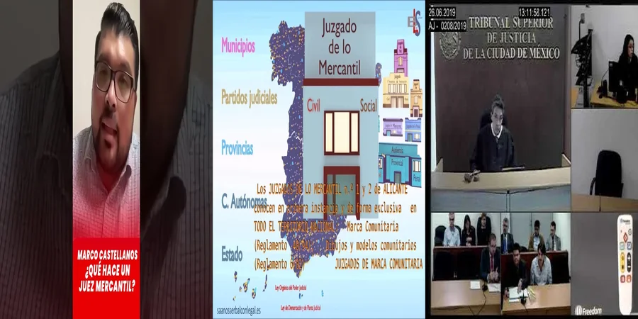 "Aspectos esenciales del tribunal mercantil en México"