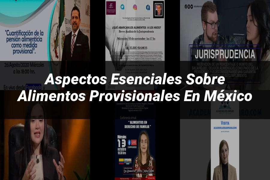 "Aspectos esenciales sobre alimentos provisionales en México"