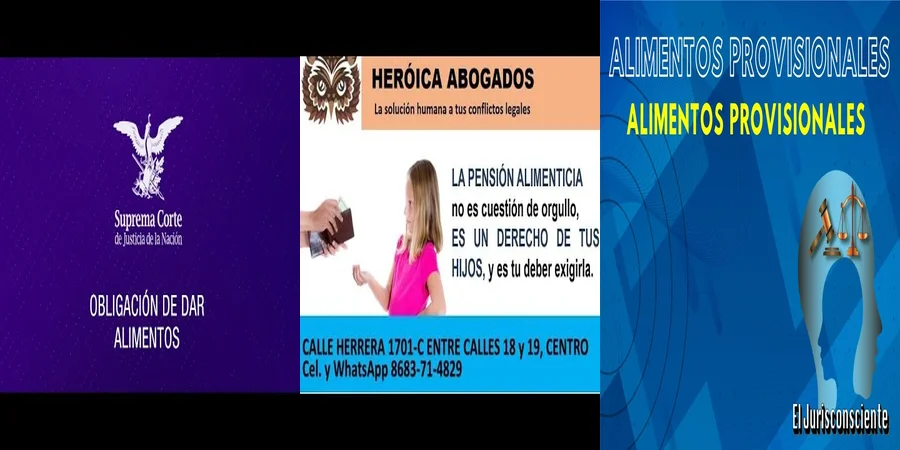 "Aspectos esenciales sobre alimentos provisionales en México"