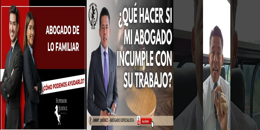 "Aspectos esenciales sobre el abogado de oficio familiar en México"