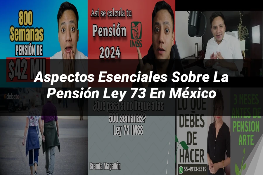 "Aspectos esenciales sobre la pensión ley 73 en México"
