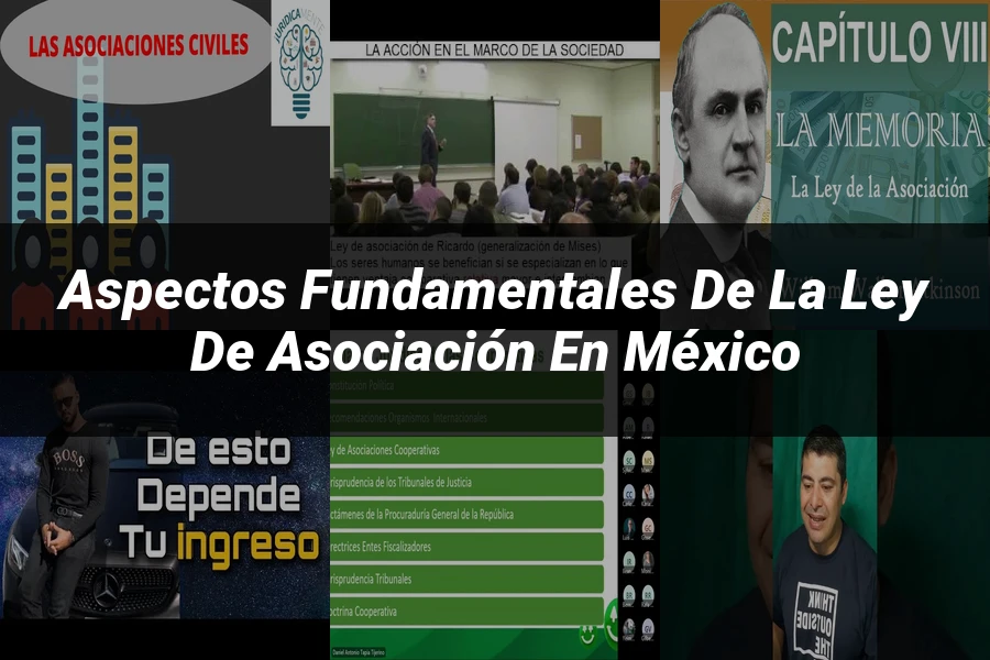 "Aspectos fundamentales de la ley de asociación en México"