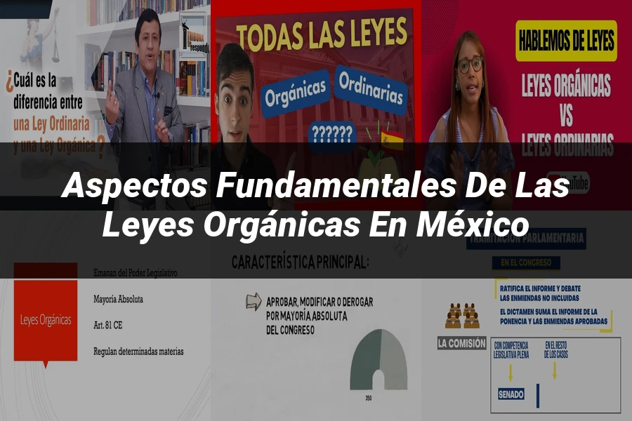 "Aspectos fundamentales de las leyes orgánicas en México"