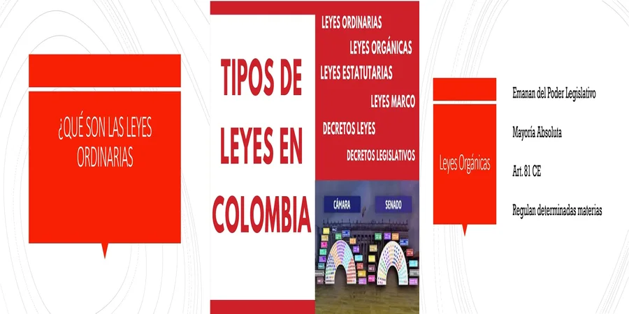 "Aspectos fundamentales de las leyes orgánicas en México"