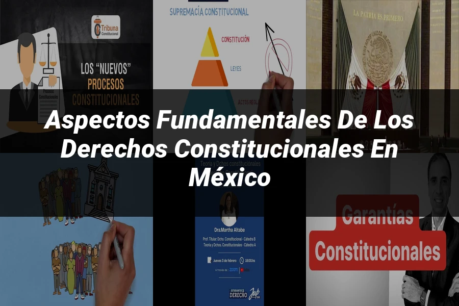 "Aspectos fundamentales de los derechos constitucionales en México"
