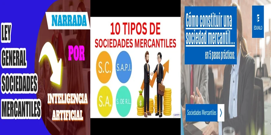 "Aspectos fundamentales de los estatutos mercantiles en México"