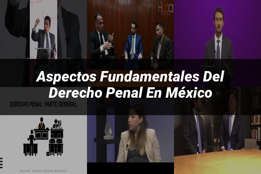 "Aspectos fundamentales del derecho penal en México"