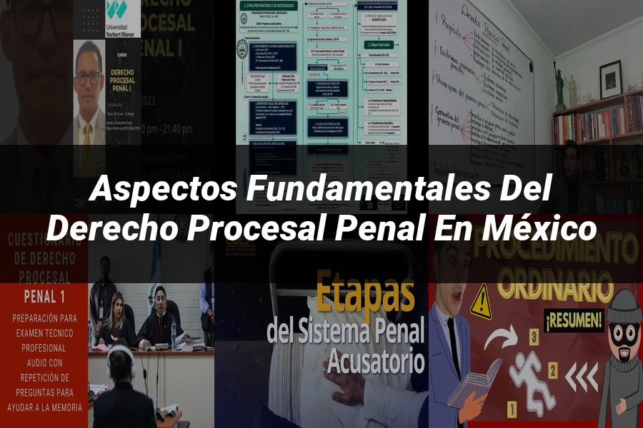 "Aspectos fundamentales del derecho procesal penal en México"