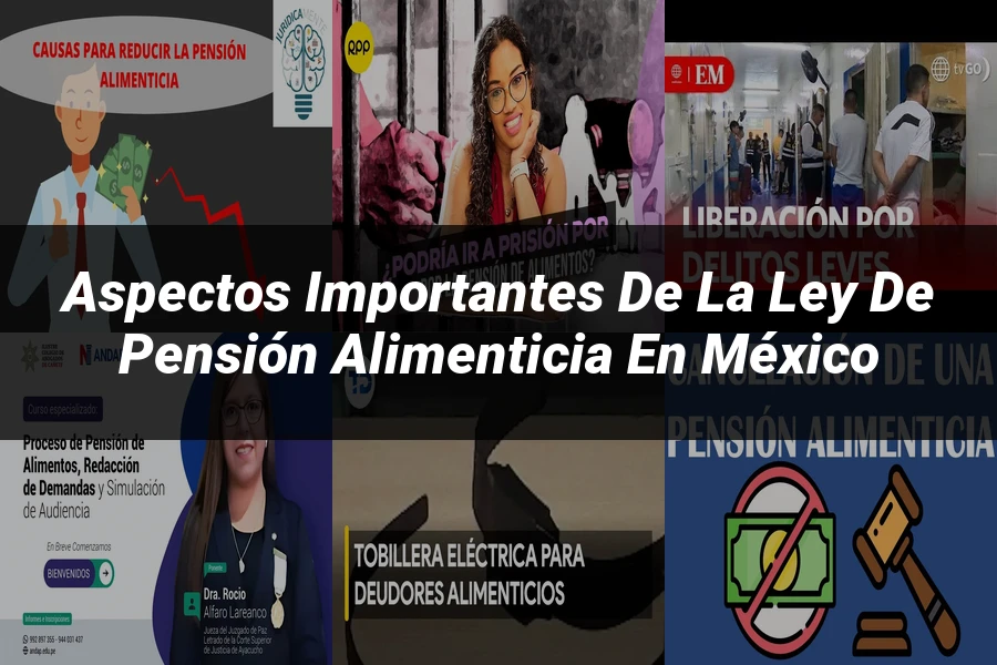 "Aspectos importantes de la ley de pensión alimenticia en México"