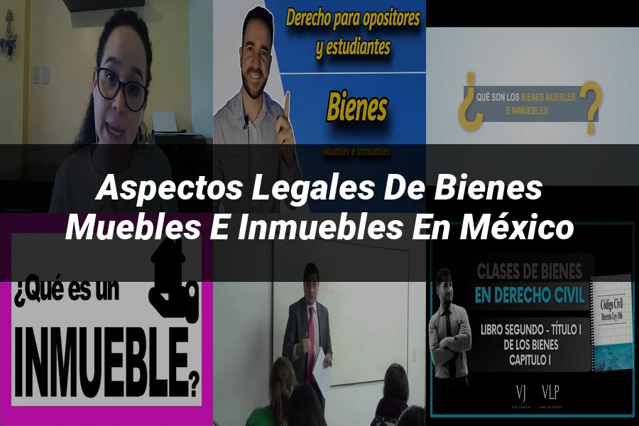 "Aspectos legales de bienes muebles e inmuebles en México"