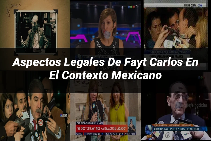 "Aspectos legales de fayt carlos en el contexto mexicano"