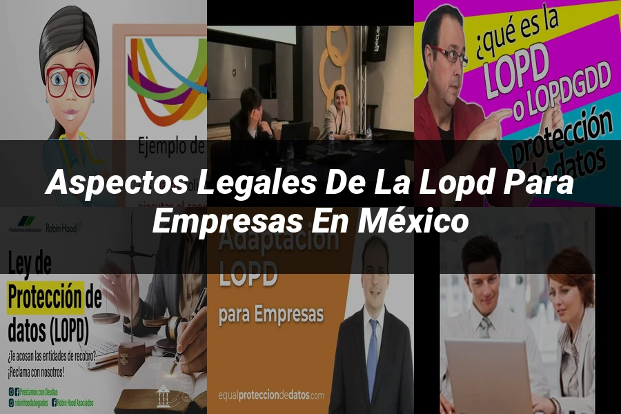 "Aspectos legales de la LOPD para empresas en México"